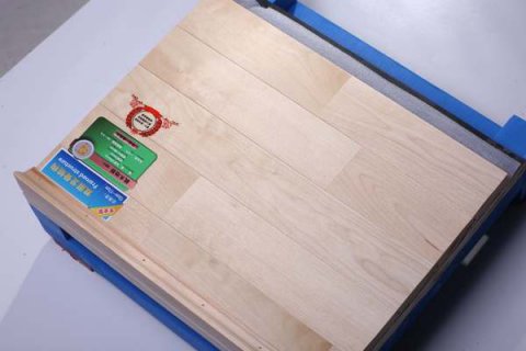 校企共贏，運(yùn)動(dòng)木地板產(chǎn)業(yè)新行標(biāo)