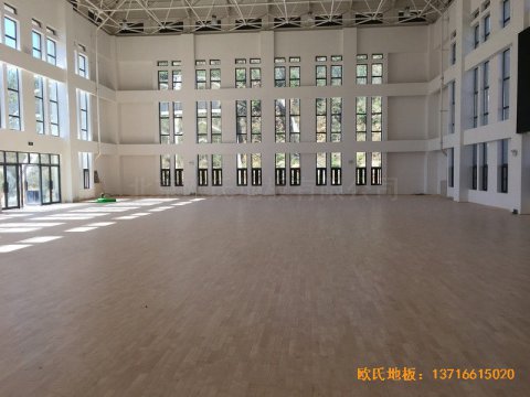 河南南陽南召縣天池電站運(yùn)動(dòng)館體育木
