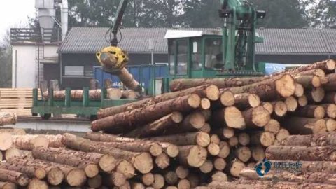 籃球場(chǎng)木地板施工工藝